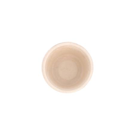 Coupe bionique en bagasse écru cl 5,5