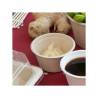 Coupe bionique en bagasse écru cl 5,5