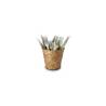 Vintage galvanised steel mini bucket 5.51x4.96 inch