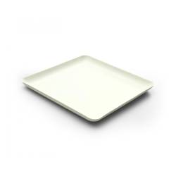 Plaque carrée en bagasse 20 cm