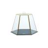 Plateau hexagonal en ardoise avec dôme hexagonal en verre cm 40