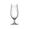 Verdot Bière 1910 Bar urbain Verre cl 46
