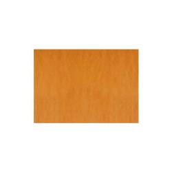 Manteles individuales de papel naranja 30x40 cm
