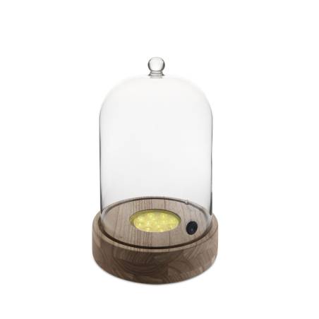 Socle Led pour dôme de fumoir Chef 100% bois