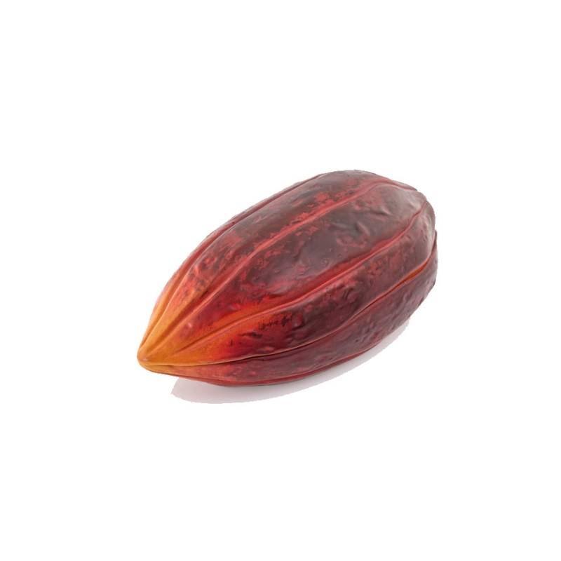 Fève de cacao 100% Chef coupe en résine 26x12x11 cm