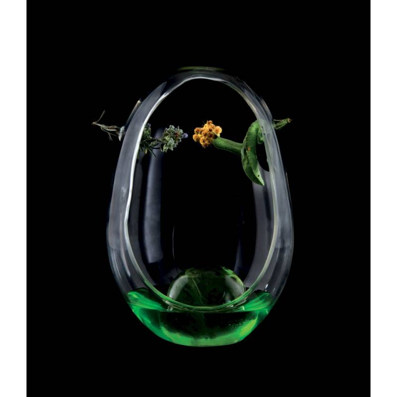 Amazonic 100% Chef verre cl 21