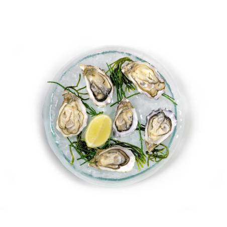 Plato Ostras 100% Chef 6 impresiones en vidrio cm 26x4