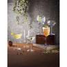 Backdoor '20s Luigi Bormioli sunrise tequila copa cl 45