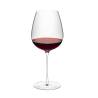 Verre à vin Diverto Rona cl 71