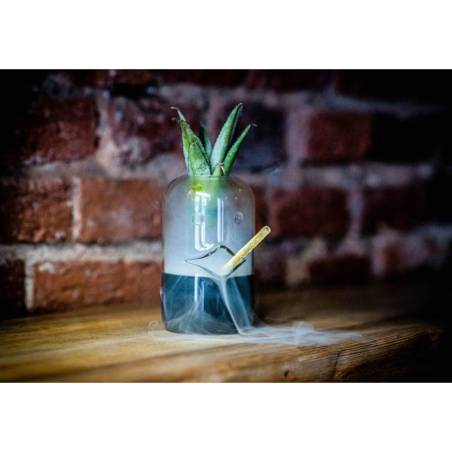 Verre Tiki Pingouin avec paille cl 20