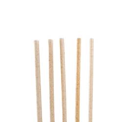 Pailles biodégradables en agave cm 21x0,6