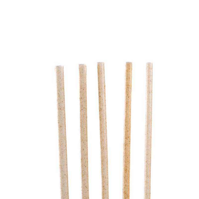 Pailles biodégradables en agave cm 21x0,6