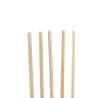 Pailles biodégradables en agave cm 21x0,6