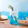 Alameda Arcoroc verre cl 62