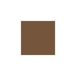 Tovagliolo Duni in cellulosa due veli cm 40 x 40 nocciola