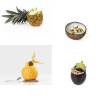 Kit Extractor Exprimidor de Frutas Vaciado BUIT 100% Chef