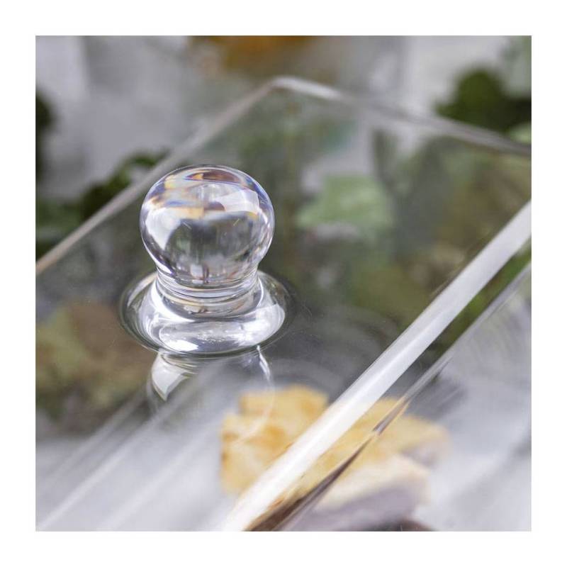 Dôme rectangulaire 34.2x15x20 cm