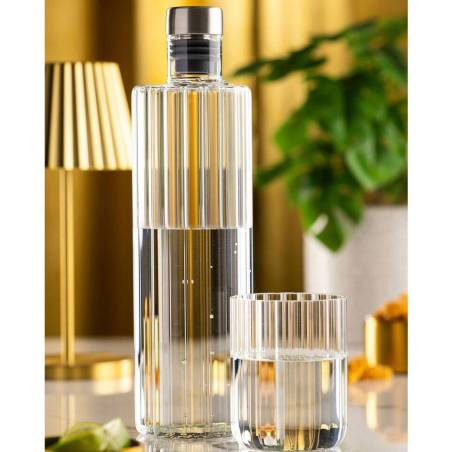 Vidrio dof Vertis cl 32