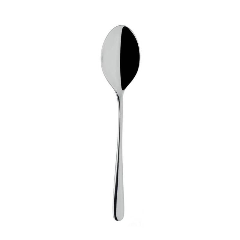 Salina stainless steel table spoon 20.6 cm