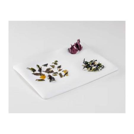 Rectangular plate The Tablet in matt white porcelain 25x20 cm