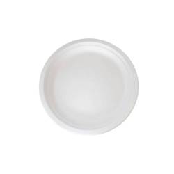 Einwegteller aus Zellstoff - flacher Teller 25 cm