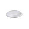 Plato plano de pasta de celulosa con tapa pet cm 25