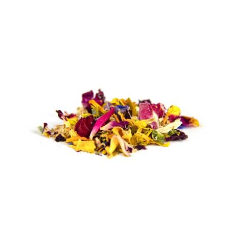 Blumencocktail essbare Blumenmischung mehrfarbig gr 5