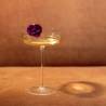 Champagnerbecher Sam Collection Safran geblasenes Glas cl 16