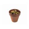 Vasetto Flower M 100% Chef in Terra Xtrem cl 17,5