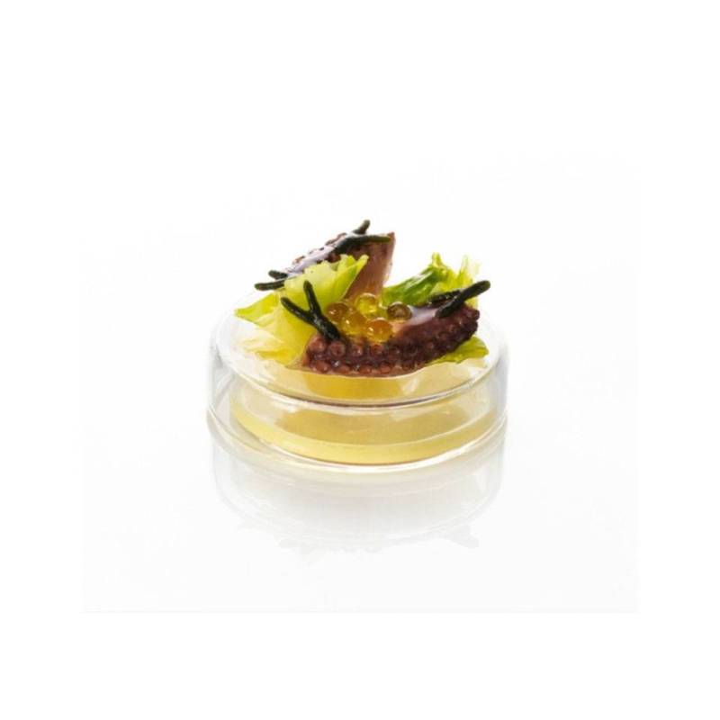 Petrischale mit Deckel 100% Chefglas cl 7