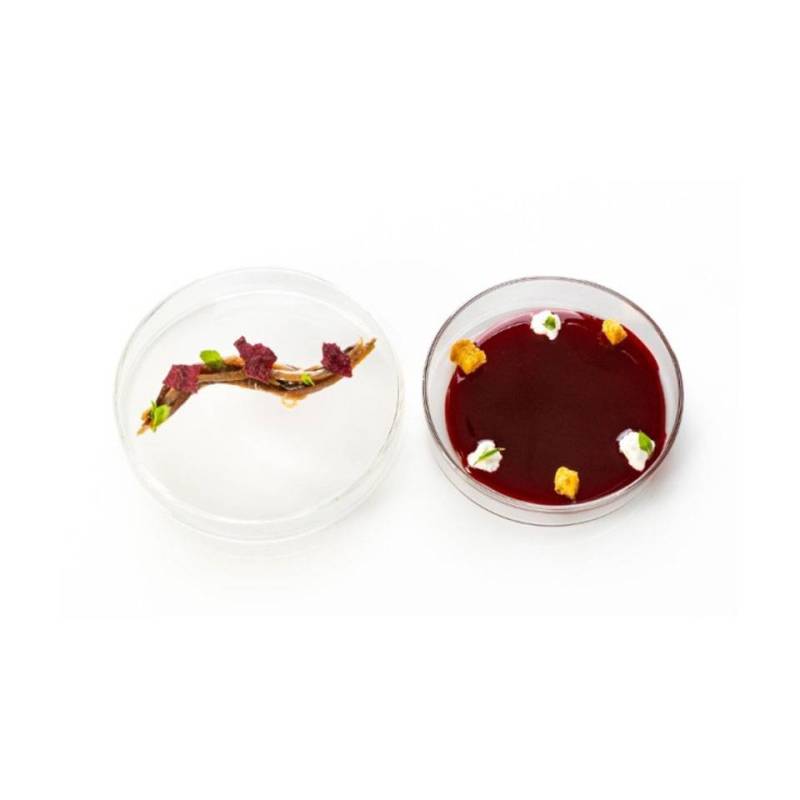 Petrischale mit Deckel 100% Chefglas cl 7