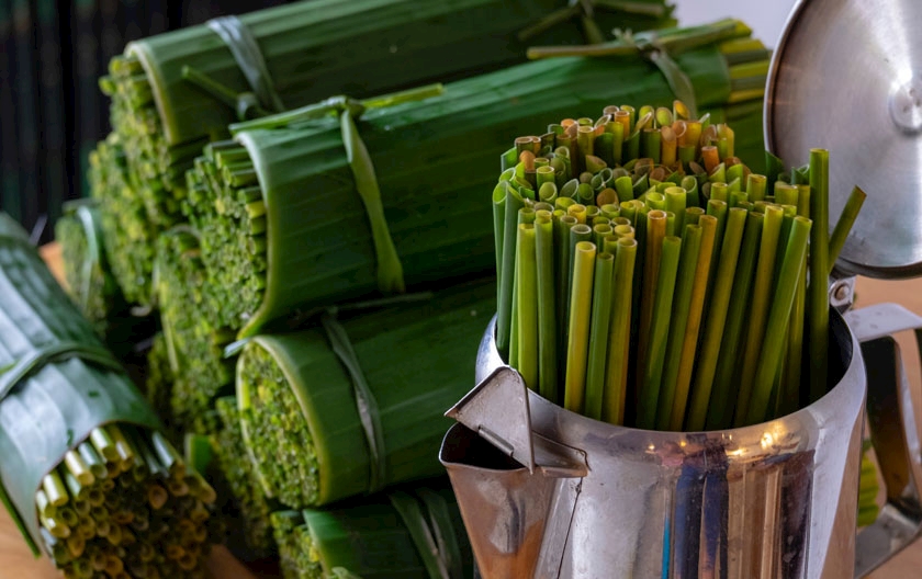 Organic straws and coconut bowls: sustainable summer with RGmania products
